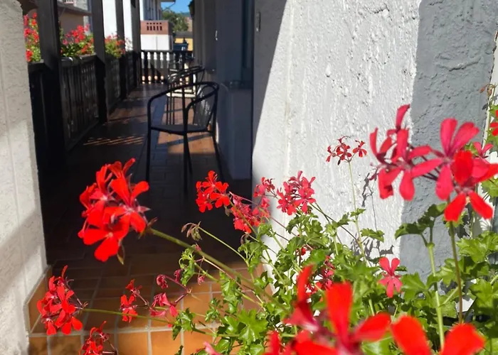 בית הארחה Gaestehaus Vis-a-vis רודסהיים אם ריין